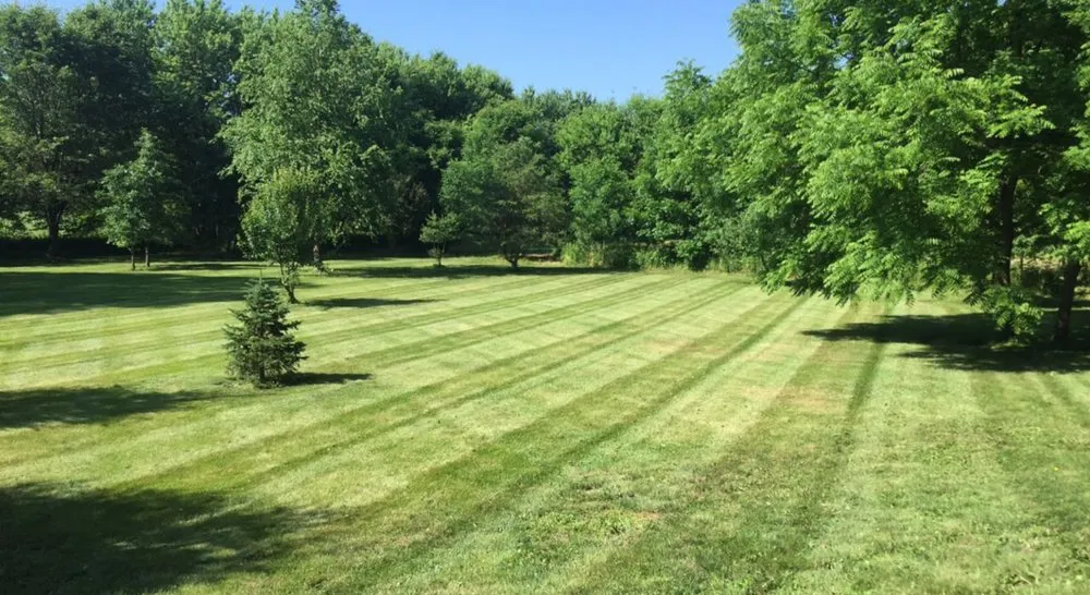 Reliable residential landscaping in Shelbyville, IN by M&M Mowing