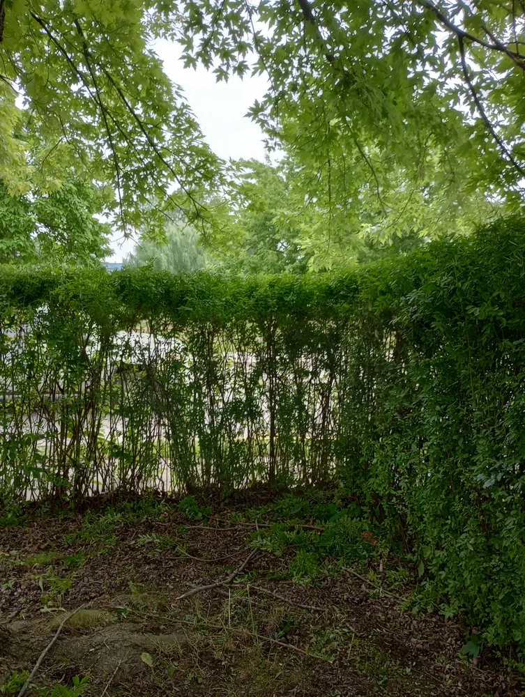 Affordable landscape design in Andrews, IN - M&M Outdoor Services