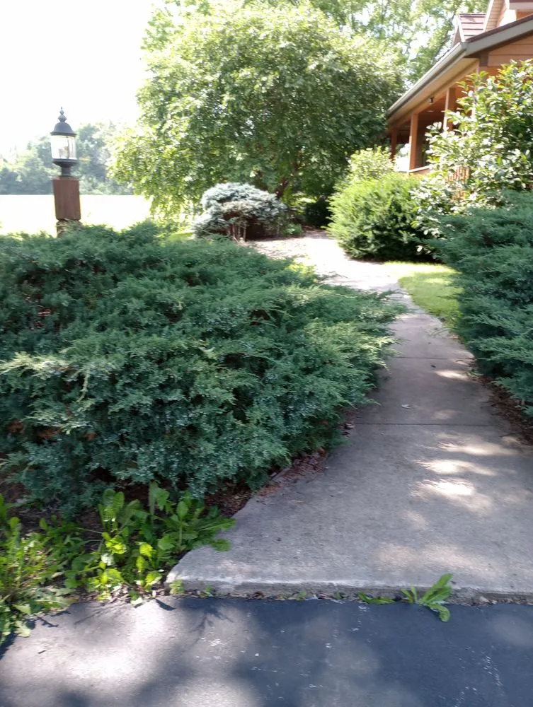Reliable residential landscaping for outdoor upgrades in Andrews, IN by M&M Outdoor Services