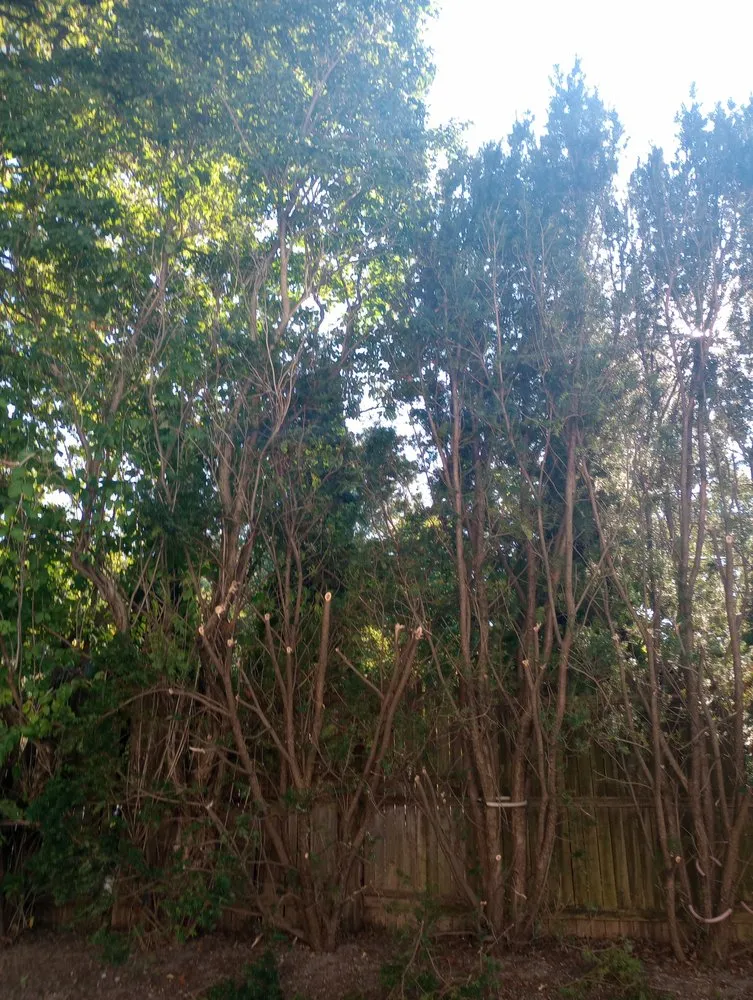 Reliable residential landscaping for year-round maintenance in Andrews, IN by M&M Outdoor Services