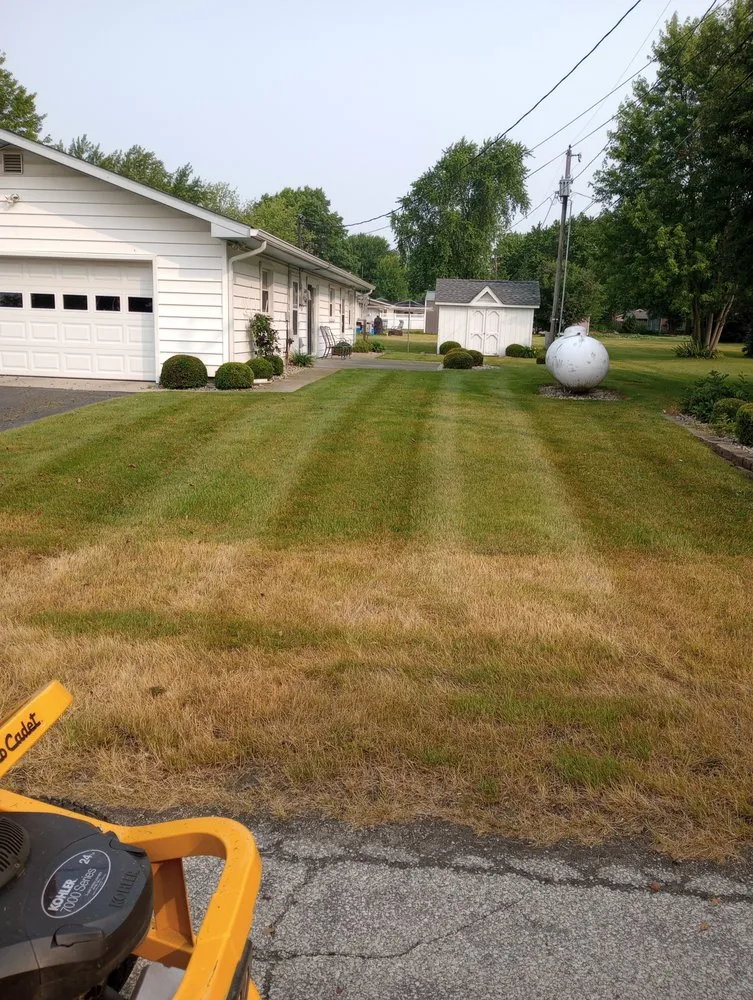Trusted yard cleanup service in Andrews, IN by M&M Outdoor Services