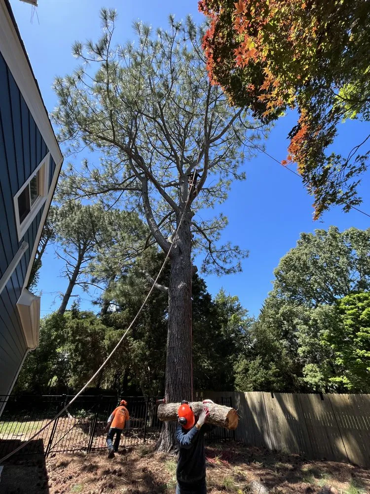 Affordable residential landscaping in Rixeyville, VA - M&M Outdoor Services