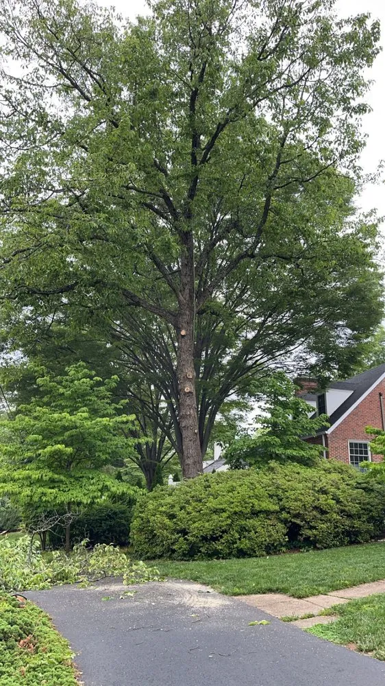 Reliable landscaping services in Rixeyville, VA - M&M Outdoor Services