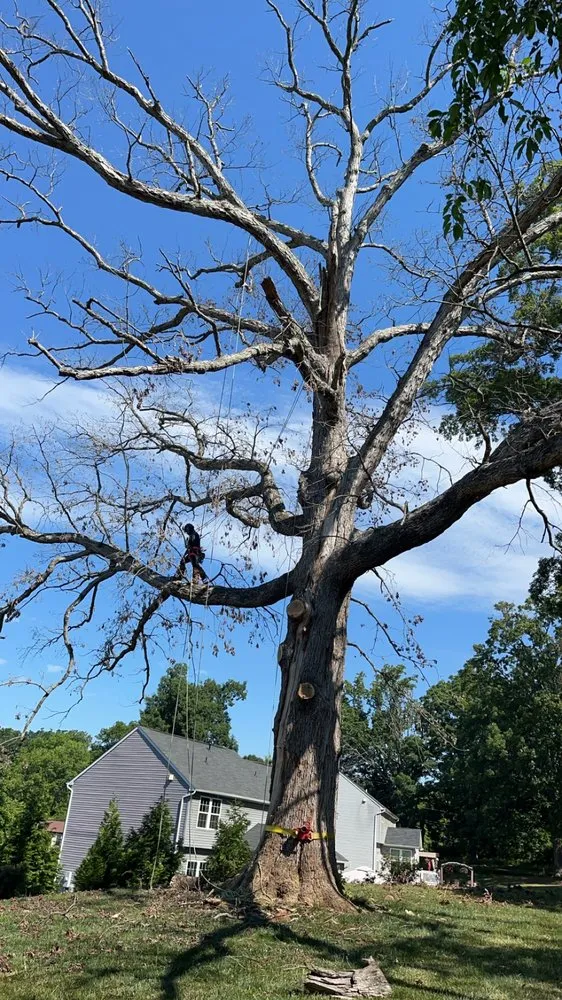 Reliable landscaping services experts serving Rixeyville, VA - M&M Outdoor Services