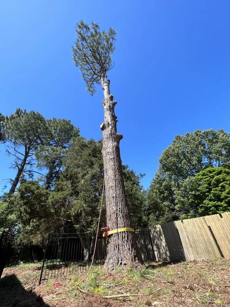 Trusted residential landscaping for homes in Rixeyville, VA by M&M Outdoor Services