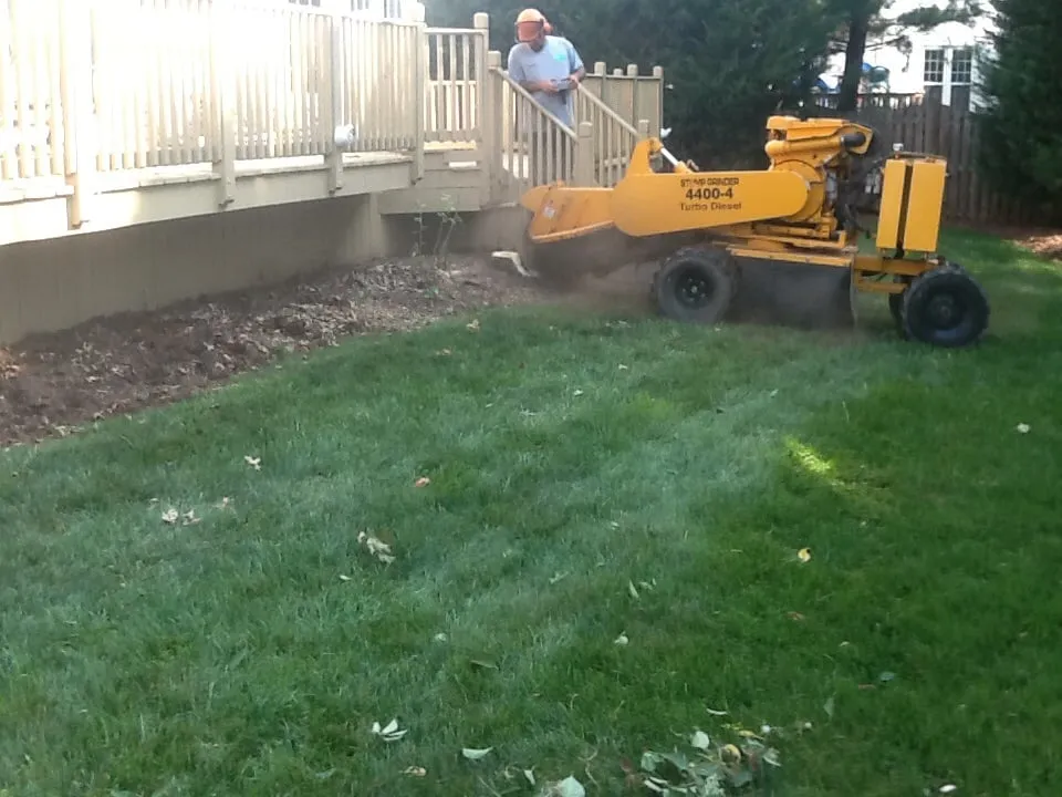 Reliable yard maintenance with custom design in Rixeyville, VA by M&M Outdoor Services