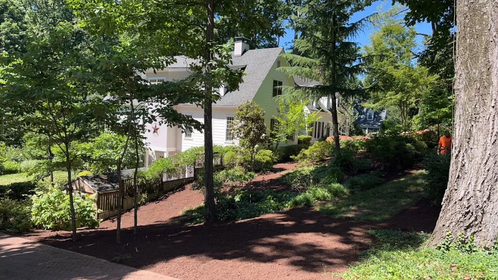 Top-rated lawn care service experts serving Rixeyville, VA - M&M Outdoor Services