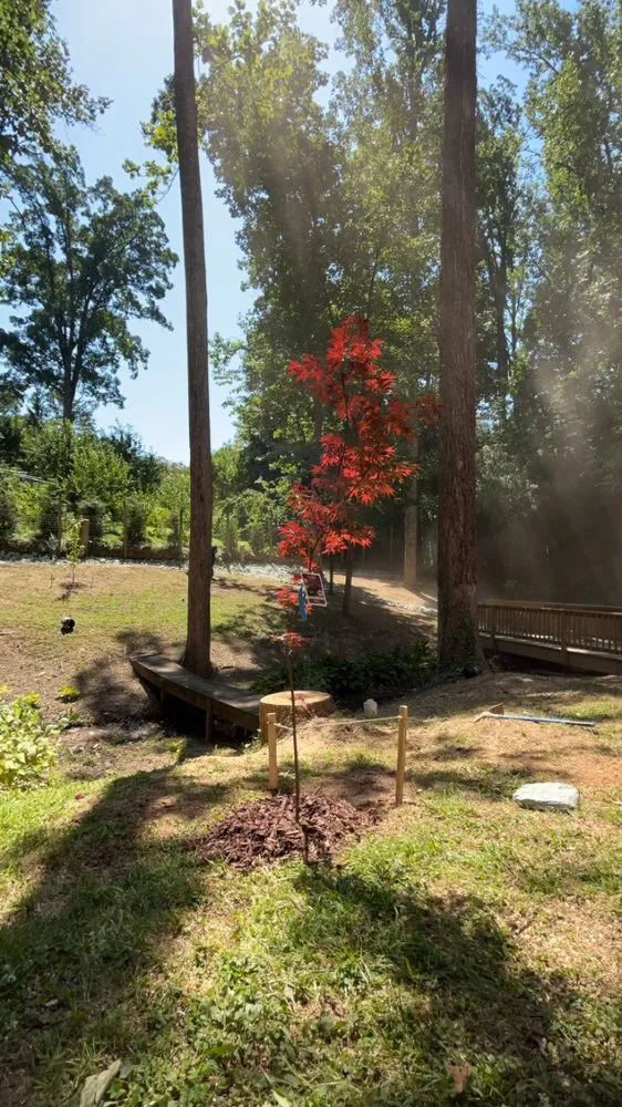 Custom lawn mowing service experts serving Rixeyville, VA - M&M Outdoor Services