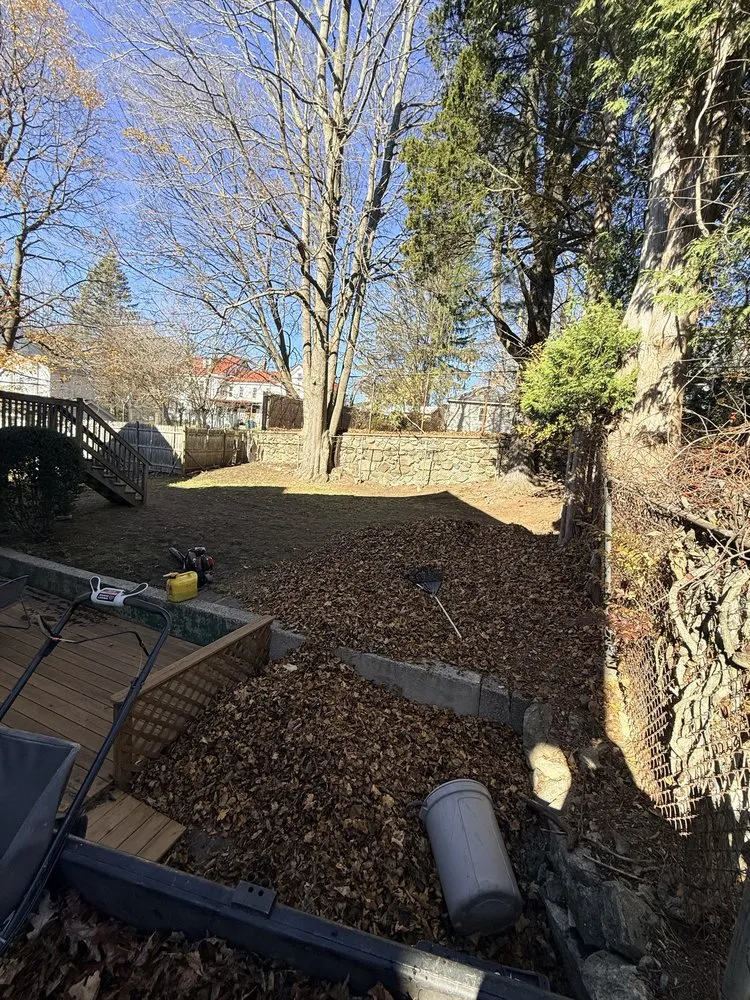 Professional yard cleanup service for outdoor upgrades in Marlborough, MA by M&M Painting And Landscaping