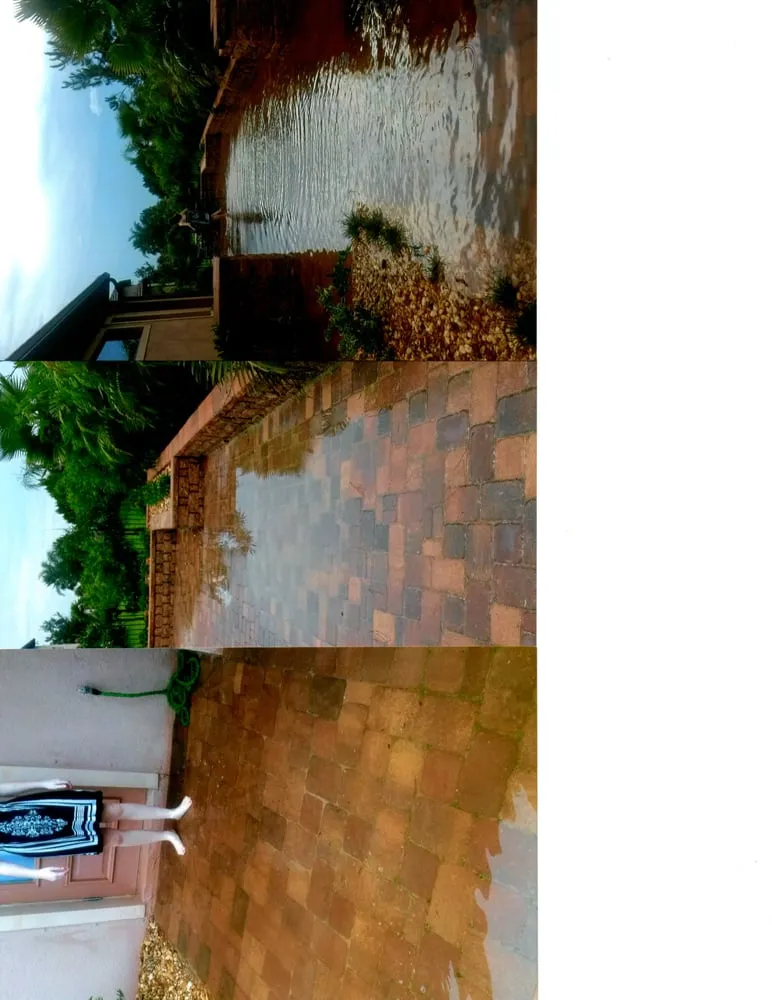 Professional yard cleanup service for homes across Melbourne, FL - M&M Professional Grounds Maintenance