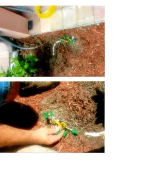 M&M Professional Grounds Maintenance Logo