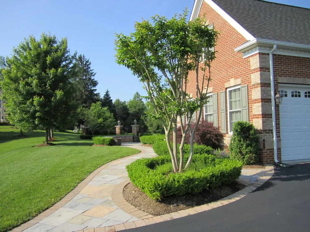 Expert lawn care service in Sterling, VA - M&M Professional Landscaping