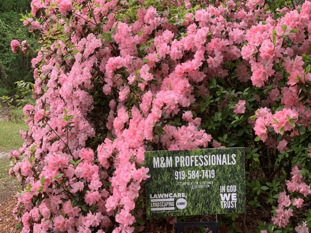 Local lawn care service in Goldsboro, NC by M&M Professionals