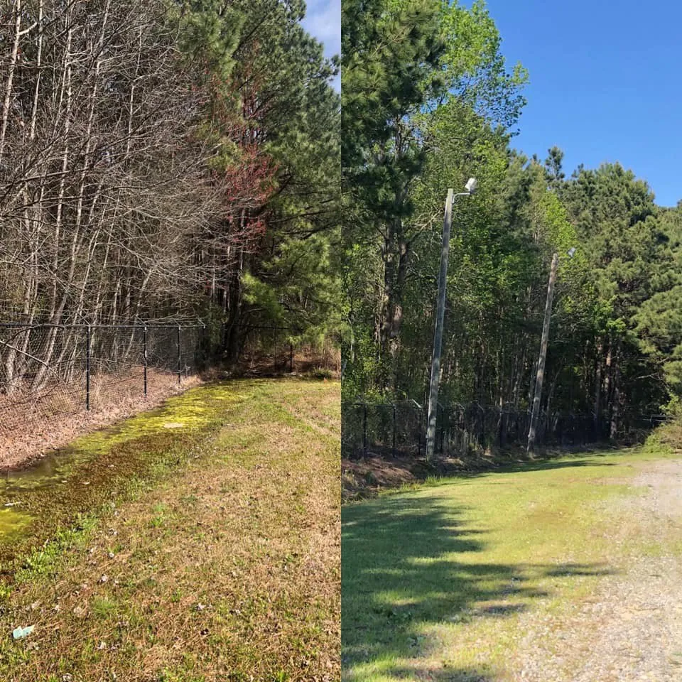 Affordable yard cleanup service in Goldsboro, NC by M&M Professionals