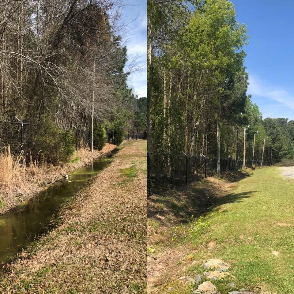 Local landscaping services for residential properties in Goldsboro, NC by M&M Professionals