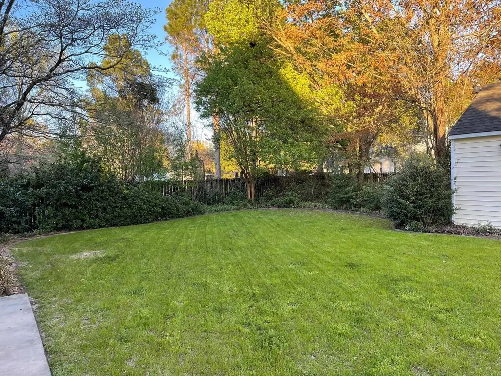 Affordable yard cleanup service for beautiful yards in Goldsboro, NC by M&M Professionals