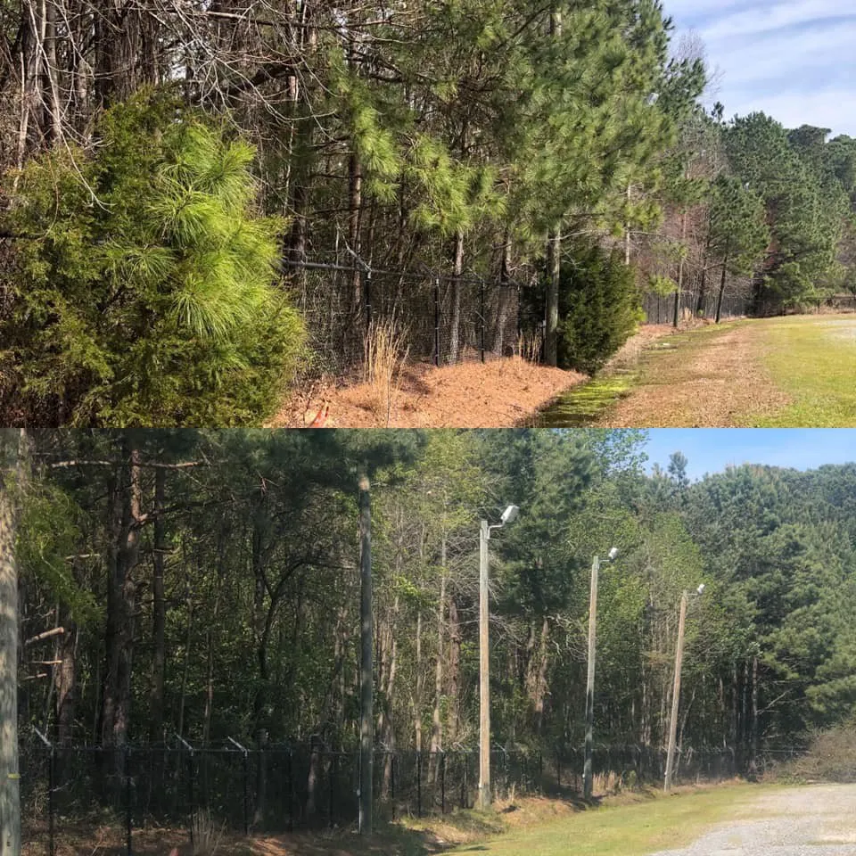 Professional lawn care service for residential properties across Goldsboro, NC - M&M Professionals