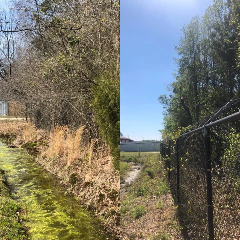 Local landscape design near you in Goldsboro, NC by M&M Professionals