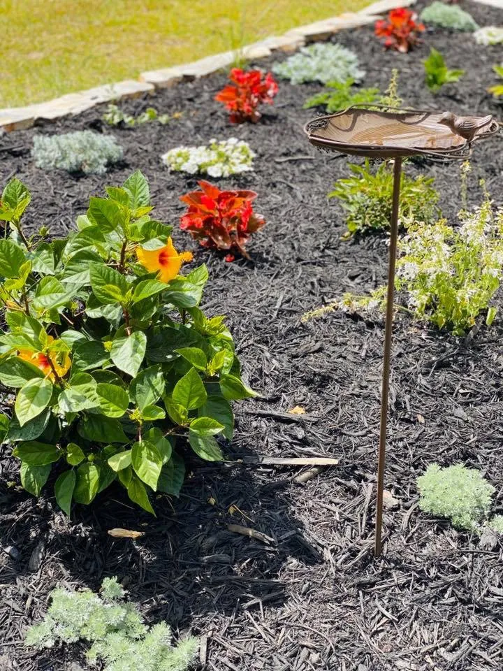 Affordable lawn mowing service in Goldsboro, NC - M&M Professionals