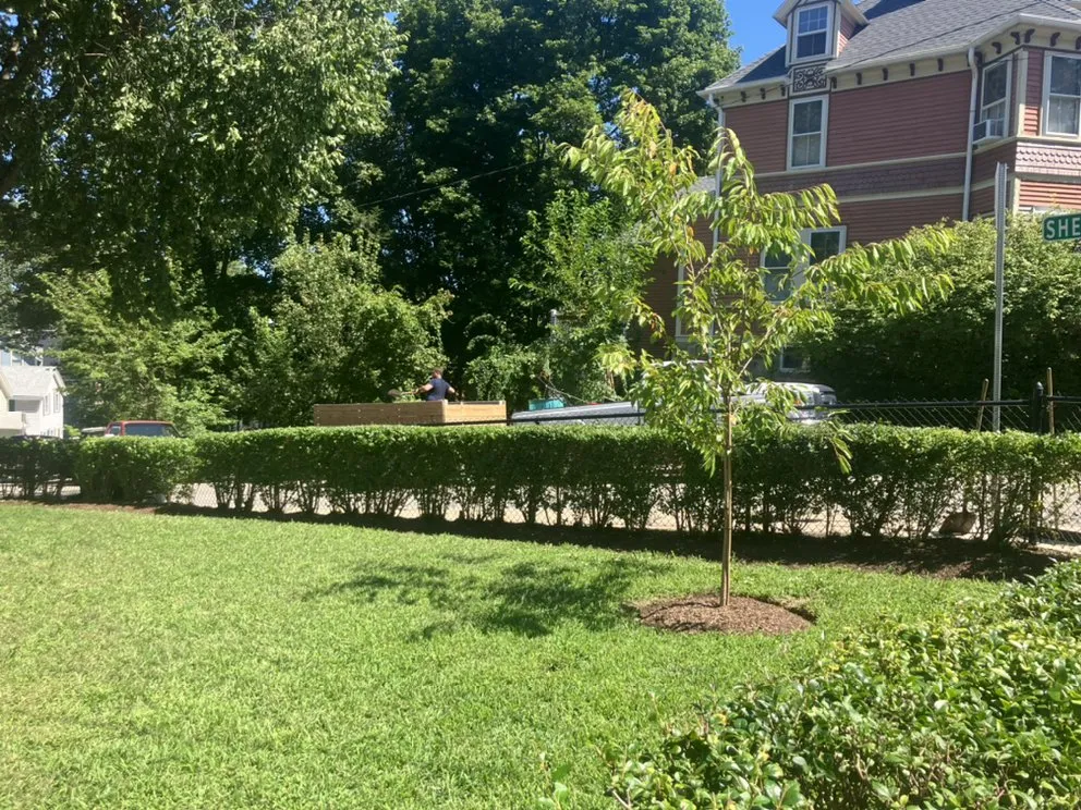 Top-rated landscape installation for outdoor upgrades in Boston, MA by M&M Property Services