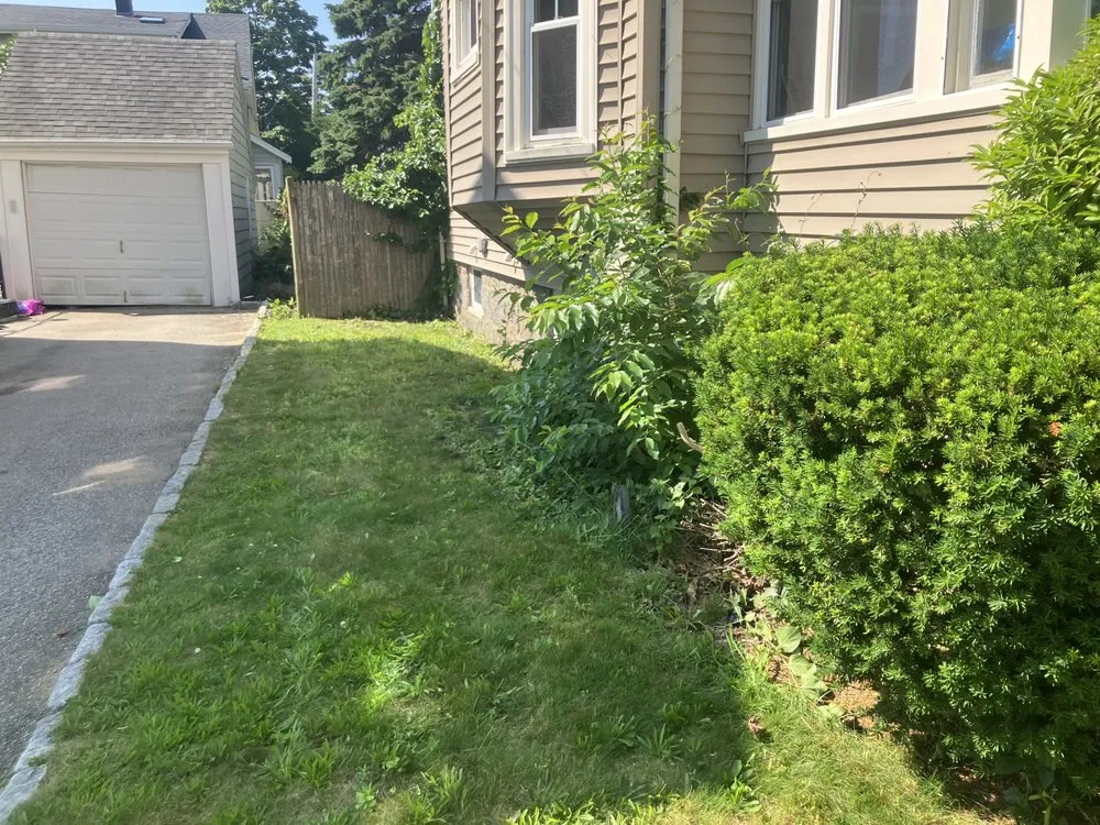 Top-rated lawn care service in Boston, MA by M&M Property Services