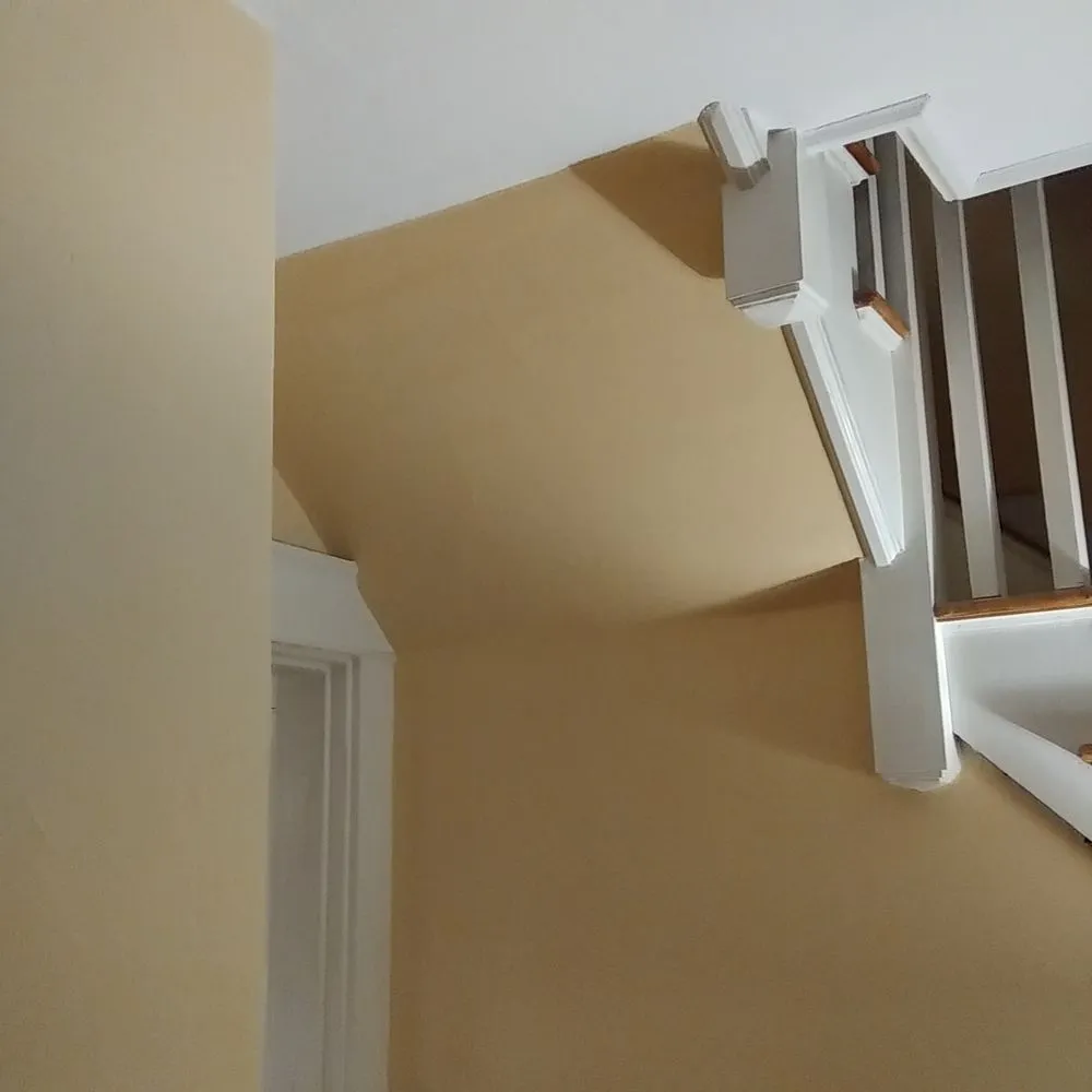 Professional yard maintenance experts serving Brewer, ME - M&M Property Services