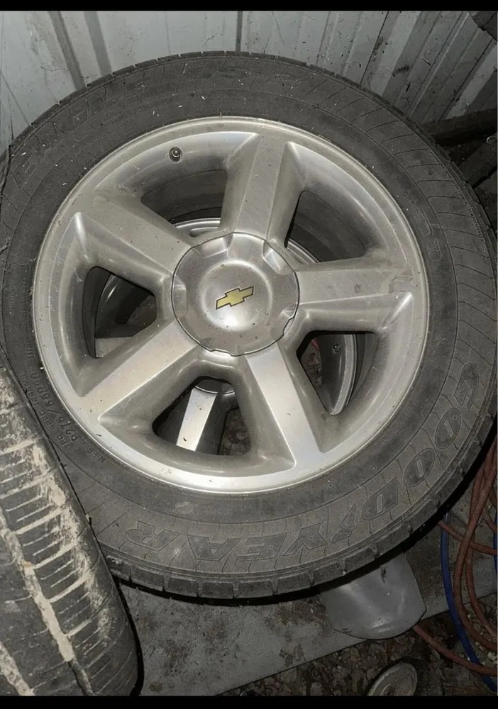 Professional yard cleanup service in Quitman, TX - M&M