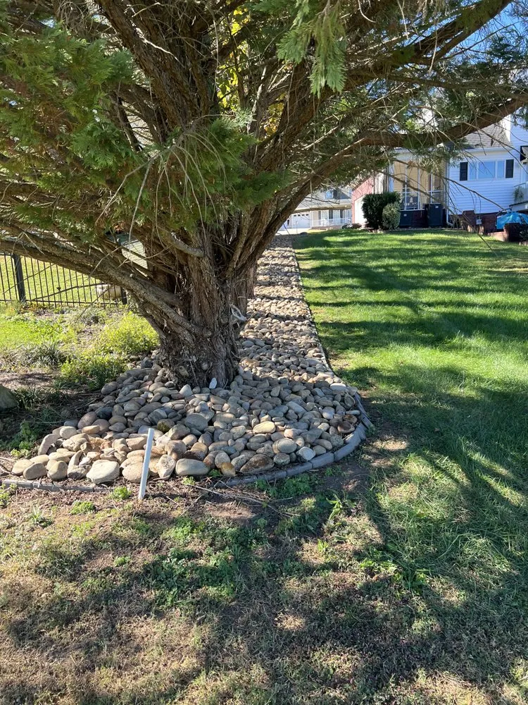 Reliable yard maintenance experts serving Cleveland, TN - M&M Santos Outdoor Services