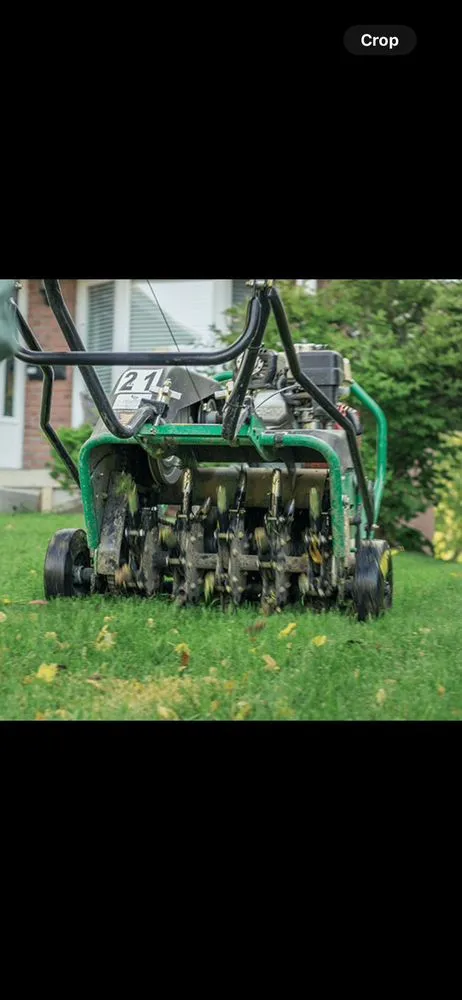 Trusted yard maintenance for residential properties in Cleveland, TN by M&M Santos Outdoor Services