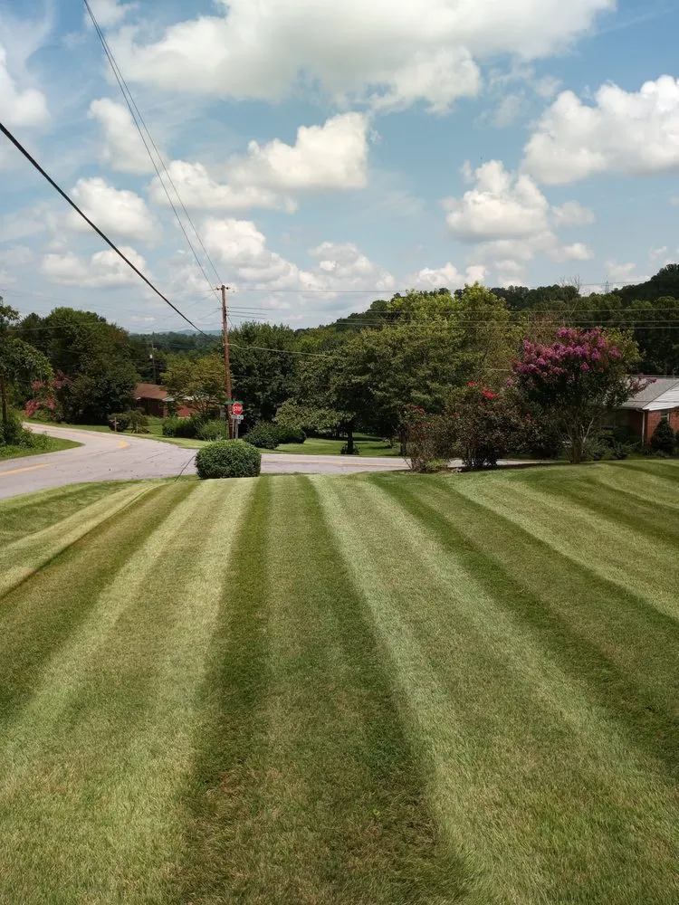 Affordable residential landscaping for residential properties across Martinsville, VA - M&M services of mhc