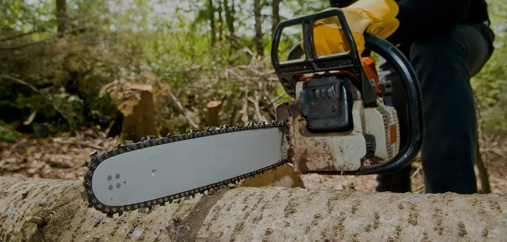 Reliable lawn mowing service for homes in Kings Mountain, NC by M&M Total Tree Service