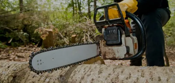 M&M Total Tree Service