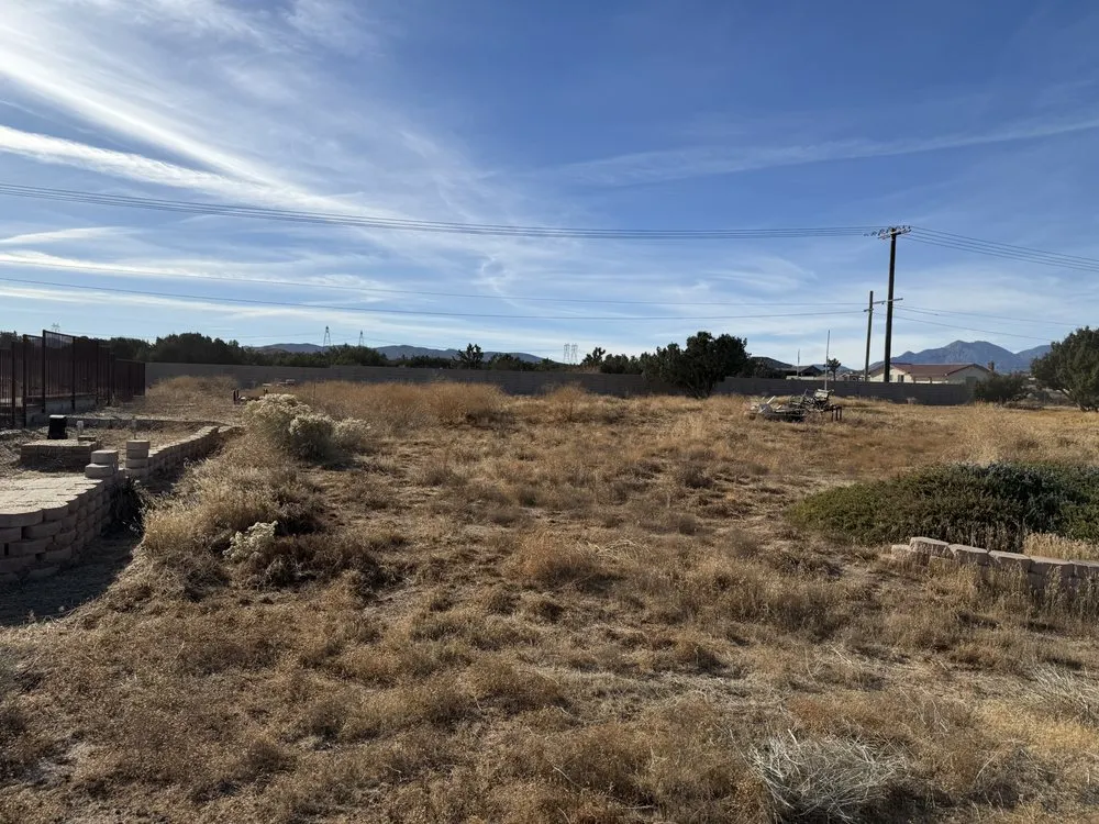 Local yard maintenance experts serving Apple Valley, CA - M&M Tractor Services and Weedabatement