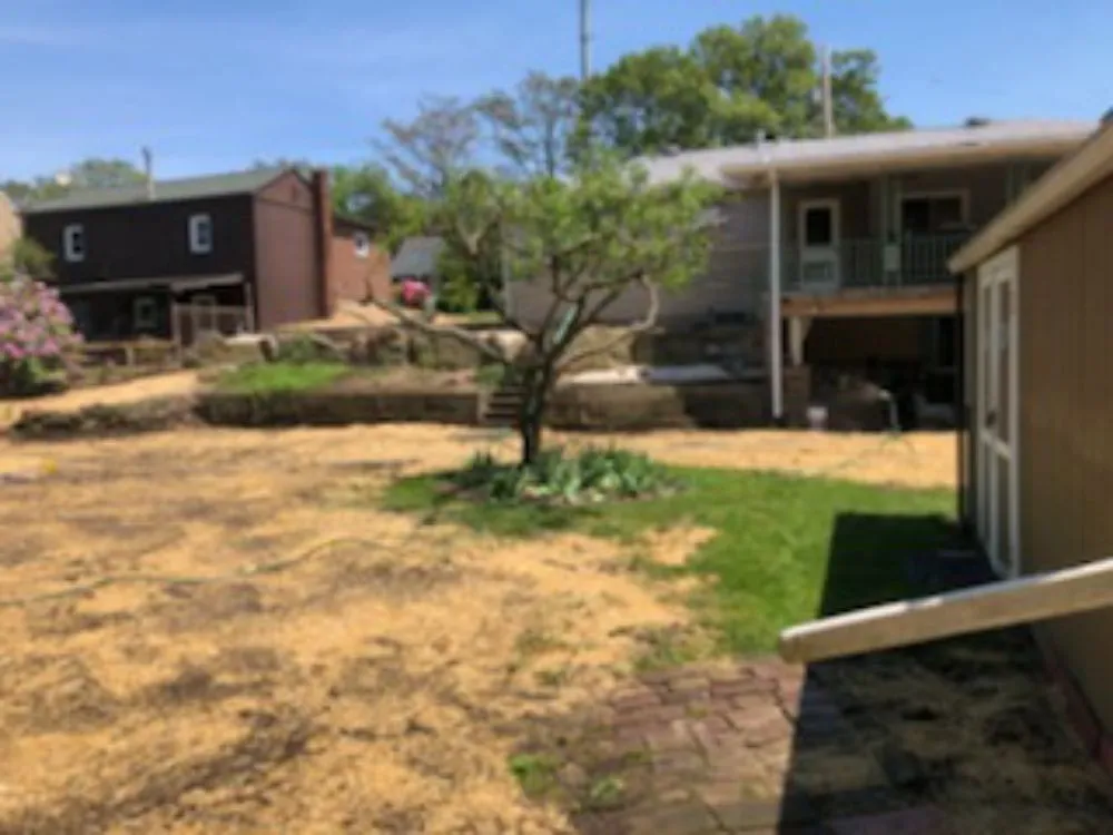 Trusted lawn mowing service for residential properties across Apollo, PA - M&M Tree & Landscape LLC