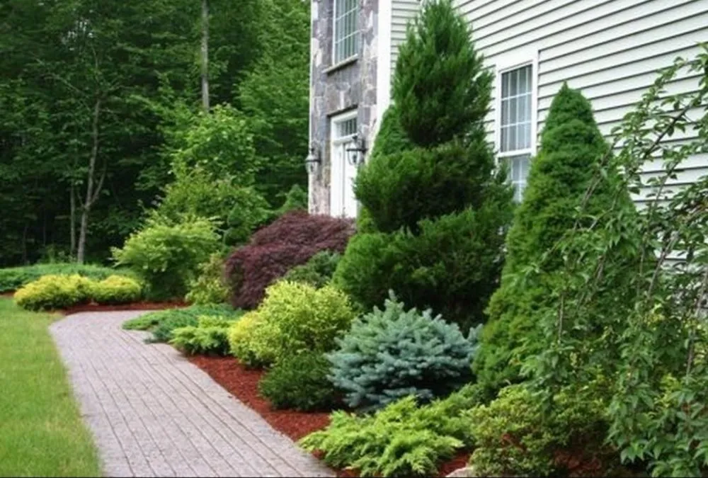 Top-rated yard cleanup service in Apollo, PA - M&M Tree & Landscape LLC