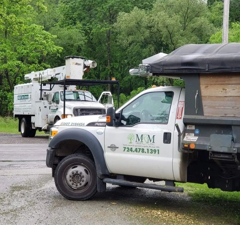Affordable lawn mowing service in Apollo, PA - M&M Tree & Landscape LLC