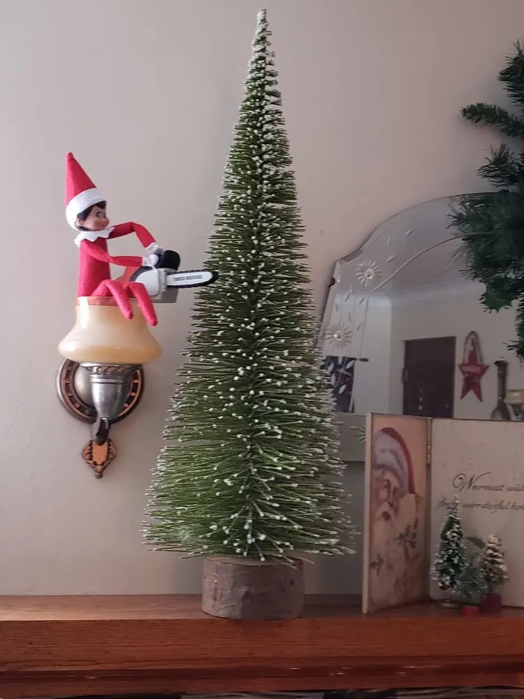 Expert lawn mowing service in Apollo, PA by M&M Tree & Landscape LLC