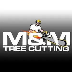 Expert outdoor landscaping for residential properties across Bronx, NY - M&M Tree Cutting