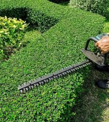 Expert landscaping services in New York, NY by M&M Tree Cutting