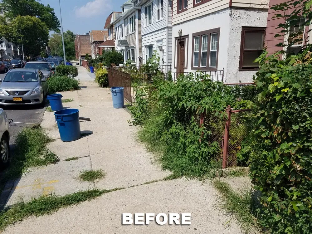 Affordable lawn care service in New York, NY by M&M Tree Cutting