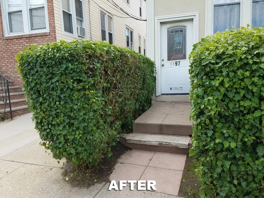 Custom garden landscaping for outdoor upgrades in New York, NY by M&M Tree Cutting