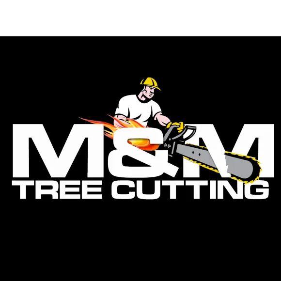 Top-rated residential landscaping in New York, NY - M&M Tree Cutting