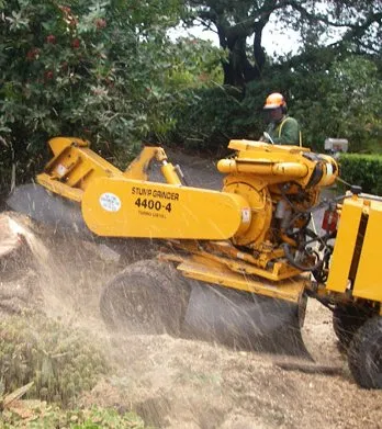 Professional landscaping services in New York, NY by M&M Tree Cutting