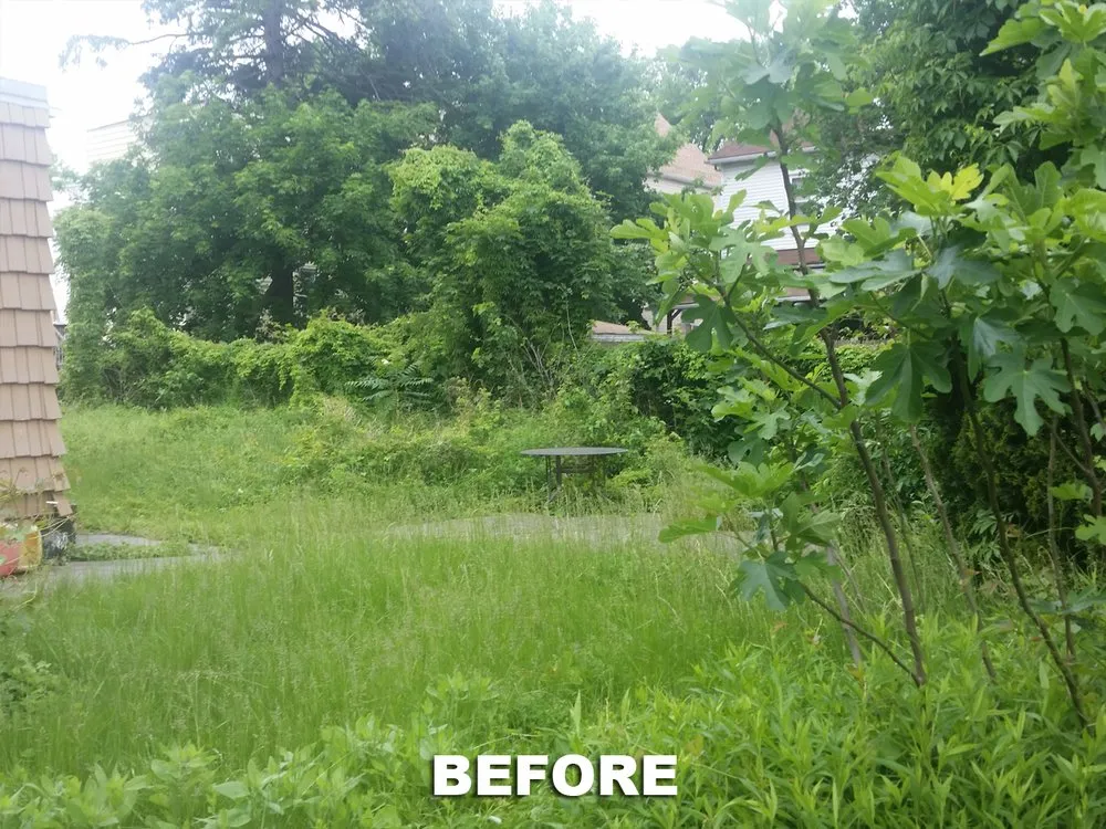 Reliable outdoor landscaping in New York, NY - M&M Tree Cutting