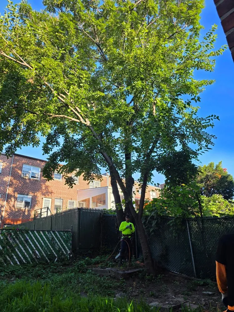 Expert landscape design experts serving New York, NY - M&M Tree Cutting