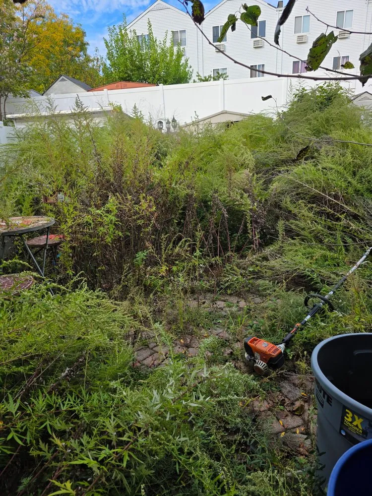 Custom lawn care service for outdoor upgrades across New York, NY - M&M Tree Cutting