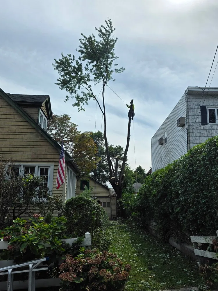 Top-rated garden landscaping in New York, NY - M&M Tree Cutting