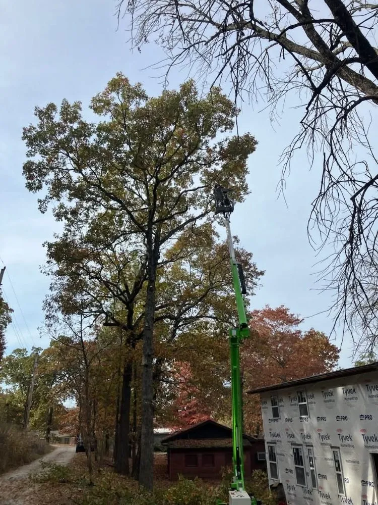 Top-rated lawn mowing service for beautiful yards across Hollister, MO - M&M Tree Service and Landscaping