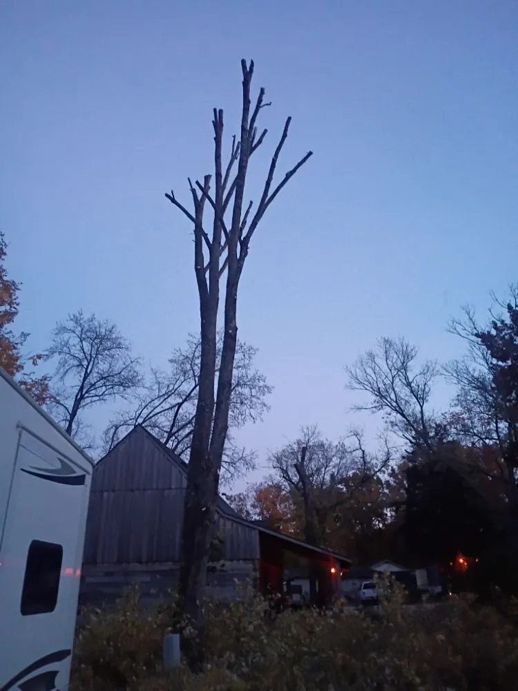 Professional lawn care service experts serving Hollister, MO - M&M Tree Service and Landscaping