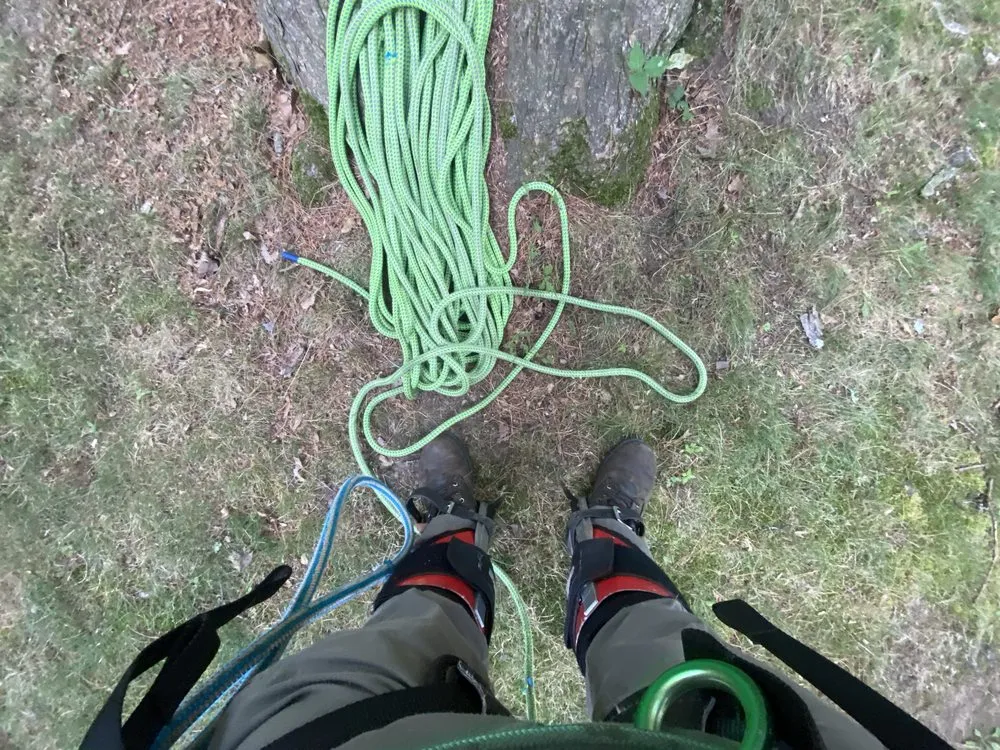 Professional landscaping services for residential properties in Lynn, MA by MM Tree Service